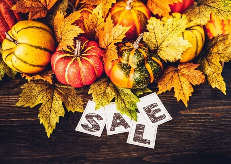 seasonal content calendar for november